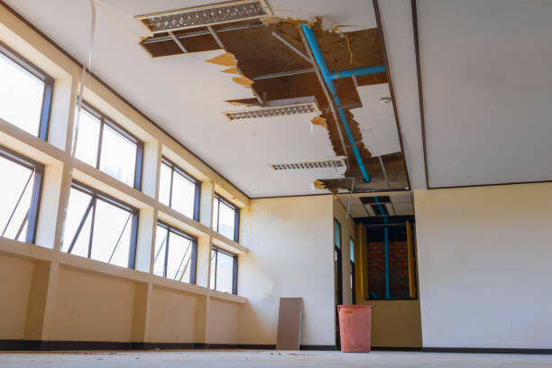 Best Residential water damage restoration  in Hilton Head Island, SC