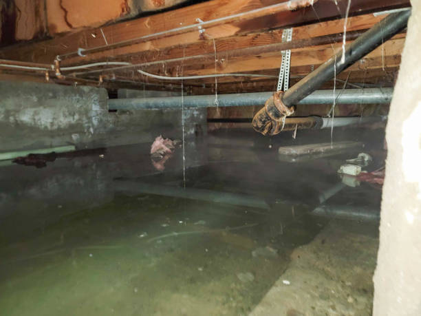 Carpet water damage restoration in Hilton Head Island, SC