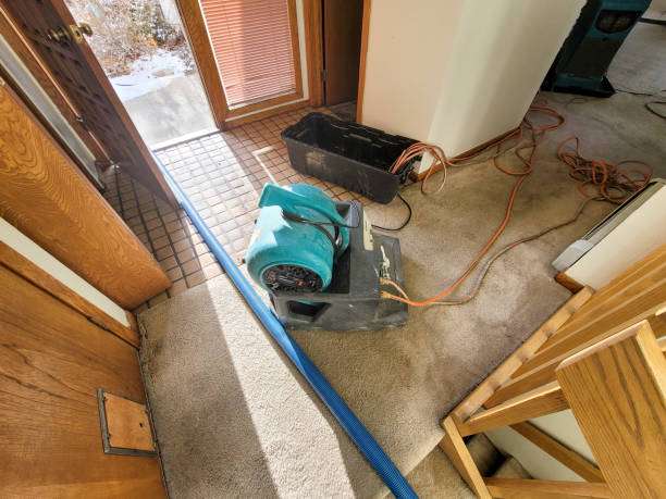 Carpet water damage restoration in Hilton Head Island, SC