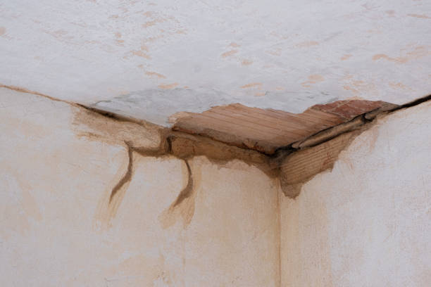 Best Sewage cleanup and water damage restoration  in Hilton Head Island, SC