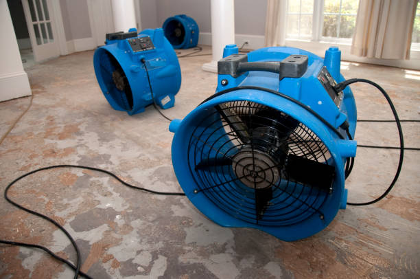 Best 24/7 water damage repair  in Hilton Head Island, SC