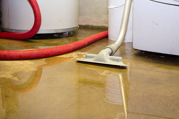 Best Basement water damage restoration  in Hilton Head Island, SC