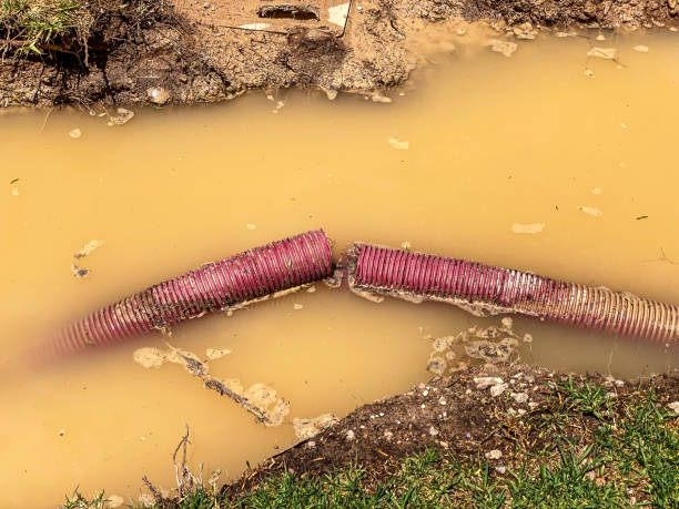 Best Flood restoration services  in Hilton Head Island, SC