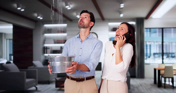 Best Water damage restoration near me  in Hilton Head Island, SC