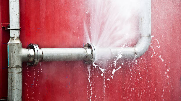 Best Water damage contractors near me  in Hilton Head Island, SC