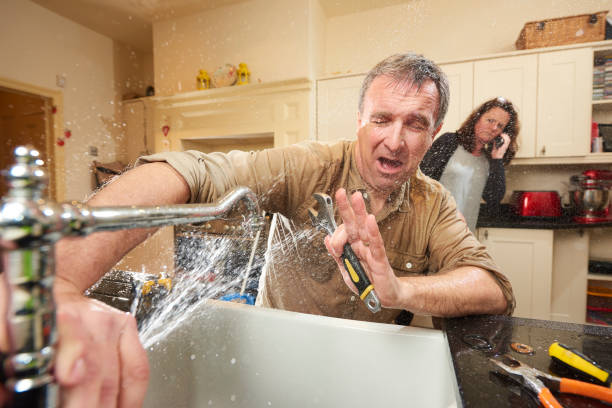 Best Flooded house restoration  in Hilton Head Island, SC